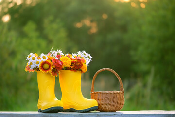 Yellow rubber boots with bright flowers and wicker basket in garden, natural background. symbol of...