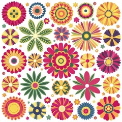 Colorful different types of flowers set vector clipart white background