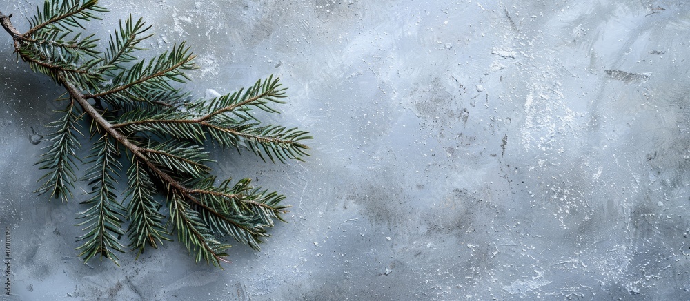 Aufkleber christmas or winter-inspired background featuring a top view layout with a fir tree branch on a gray