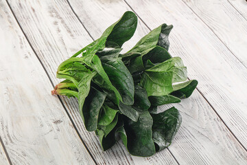 Fototapeta premium Ripe green spinach leaves heap