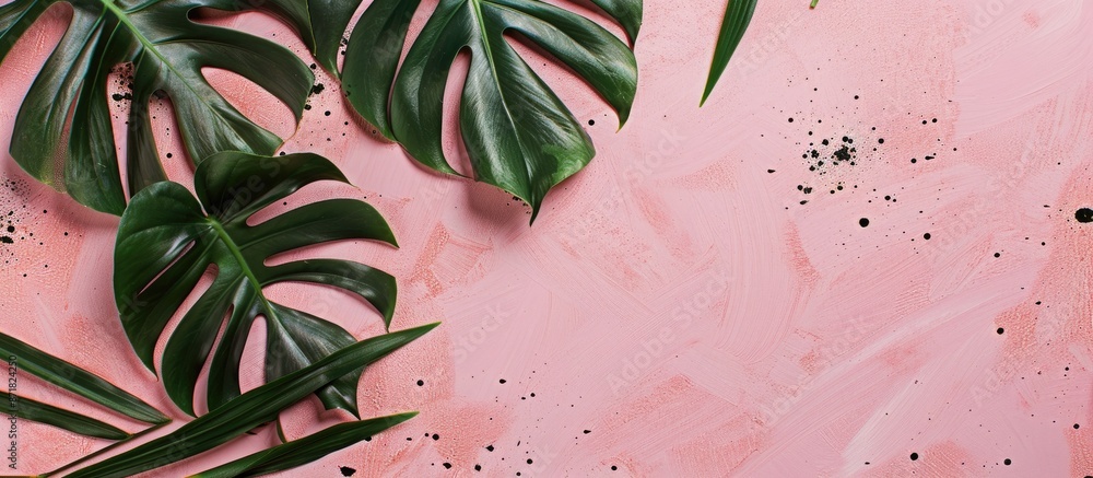 Fototapete top view image of a monstera leaf model on a pastel background, with space for adding additional ele