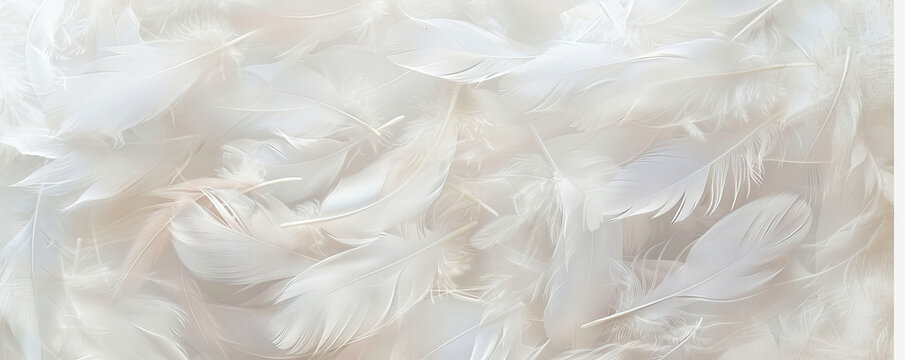 A soft and dreamy background featuring a variety of white feathers gently overlapping each other. The light and airy texture gives a serene and ethereal feel.