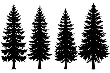 Pine tree silhouettes. bundle Evergreen forest firs and spruces black shapes, wild nature trees templates. Vector illustration woodland trees set on white background
