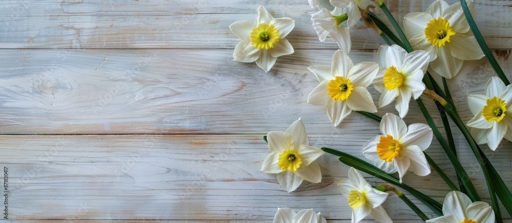 Aufkleber fresh daffodils composition on wooden backdrop with copy space image.