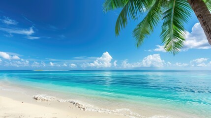 Obraz premium A tropical beach with a clear blue sky and ample space for text