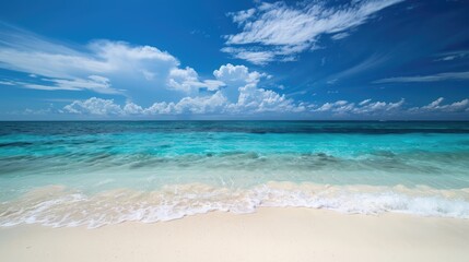 Fototapeta premium A tropical beach with a clear blue sky and ample space for text.