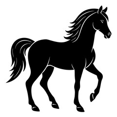 horse silhouette isolated on white silhouette