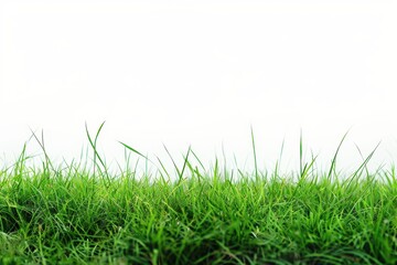 rural landscape featuring vibrant green grass on a neutral white background