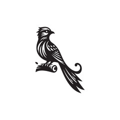 Fototapeta premium Quetzal bird silhouette vector art