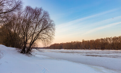 In the foreground, a bare tree stands stark against the snow-covered riverbank, with a frozen river stretching out behind it towards bare trees and a pale blue sky.