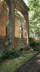 Naklejka premium ruínas de paricatuba, às margens do Rio Negro, em Iranduba, Amazonas