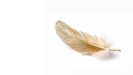 Obraz premium Golden feather on a white background, symbolizing elegance and delicacy, ideal for nature and luxury-themed designs.