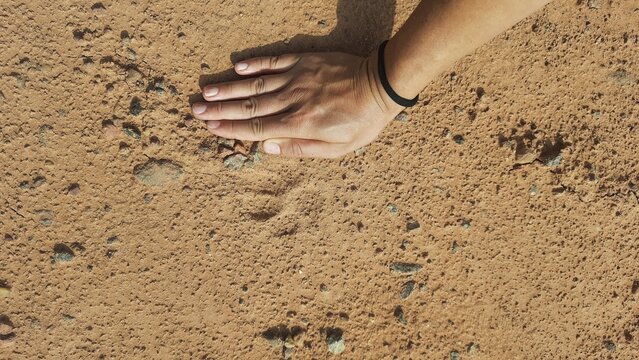 m&atilde;o ao lado de pegada de felino 