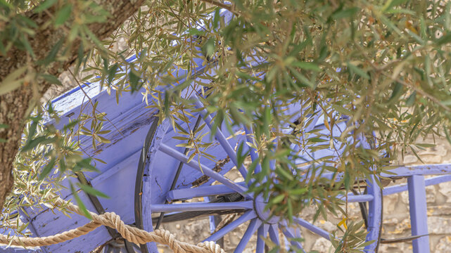 Vielle charrette en bois de couleur lavande avec un olivier dans une cour d'un mas en Provence.