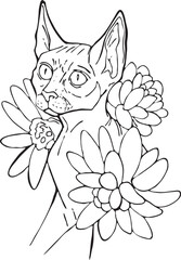 lineart sphynx succulent flowers coloring page detailed simple drawing cartoon realistic character coloring book pet product design animal line art illustration logo stores products bald cat lovers 