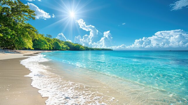 Sun-kissed beach with turquoise waters