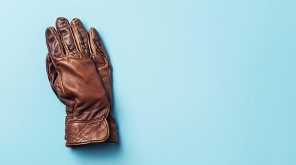 leather gloves isolated