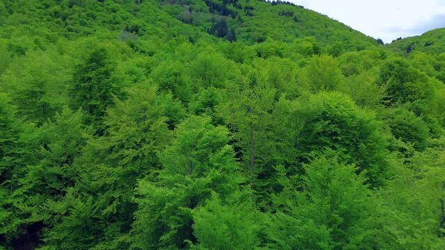 Aerial view of the Alpine mountain peaks on the border of Italy and Switzerland. The drone flies between green slopes and dramatic clouds. Trekking and tourism in the mountains. Green Paneth. Oxygen. 