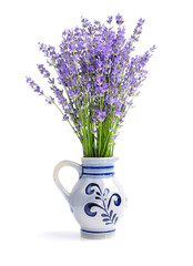 Bunch of lavender flowers on white background