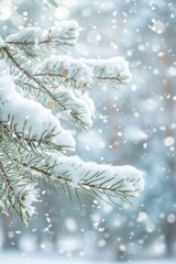 Pine branches heavy with snow, with a softly blurred background of a snowy forest. 