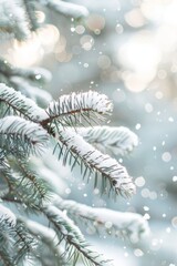 Pine branches heavy with snow, with a softly blurred background of a snowy forest. 