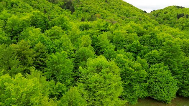 Aerial view of the Alpine mountain peaks on the border of Italy and Switzerland. The drone flies between green slopes and dramatic clouds. Trekking and tourism in the mountains. Green Paneth. Oxygen. 