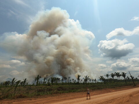 fuma&ccedil;a de queimadas sobre rodovia transamaz&ocirc;nica, no amazonas 