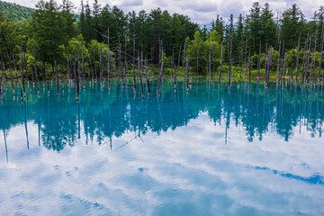青い池