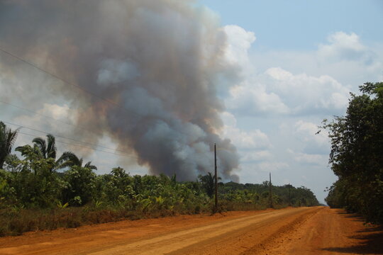 fuma&ccedil;a de queimadas sobre rodovia transamaz&ocirc;nica, no amazonas 