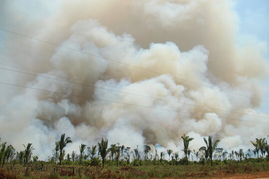 fuma&ccedil;a de queimadas sobre rodovia transamaz&ocirc;nica, no amazonas 