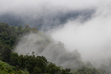 A beautiful mountain landscape with clouds and trees. The image is very peaceful and serene.