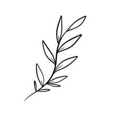 Hand drawn leaf line art doodle, delicate illsutration