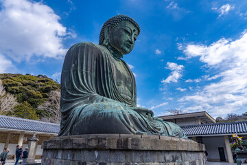 Obraz premium 【神奈川県・鎌倉市】高徳院・鎌倉大仏