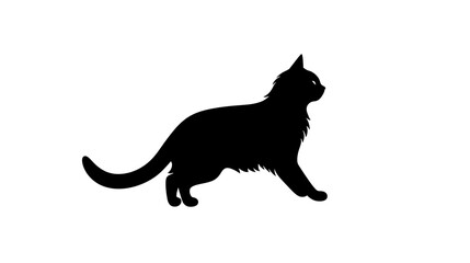 Obraz premium Silhouette of a cat jumping