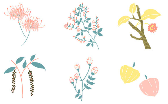 8月・9月の日本の草木セット 植物のイラスト素材