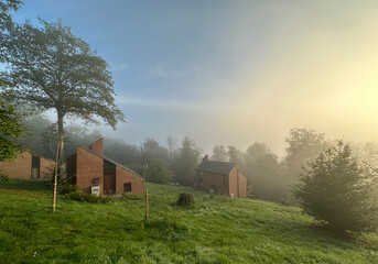 Obraz premium Forest Sunrise 