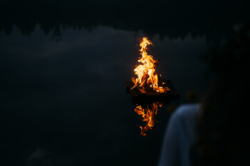 fire in the forest
