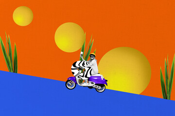 Creative collage picture young woman ride scooter environment nature traveler tickets booking...