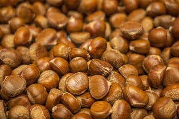 Fresh Harvested Chestnuts for Seasonal Cooking