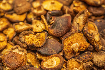 Assorted Dried Exotic Mushrooms for Gourmet Cooking