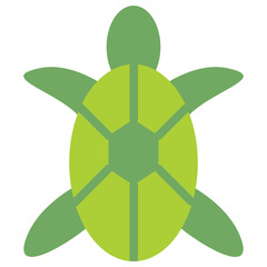 turtle flat icon