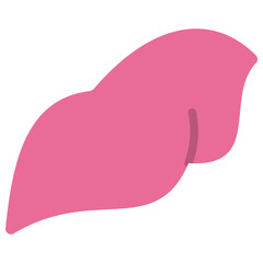 liver flat icon