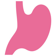 stomach flat icon