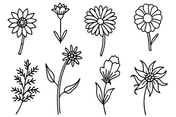 Wildflowers line art Fine-lined meadow flora artwork