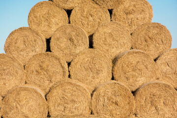 haystacks stacked in a large pile, haymaking, hay harvesting for the winter for the farm. High quality photo