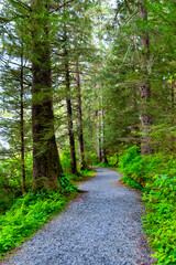 Tropical wilderness trail in the summer in Sitka Alaska 