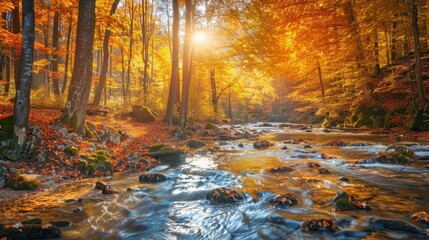 Golden leaves in an autumn forest, warm sunlight, sparkling stream, vibrant fall hues, picturesque and serene setting