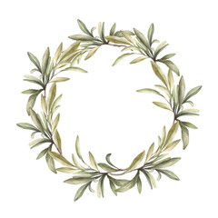 Olive branch, fruitless with green leaves. Watercolor wreath Botanical laurel leaf round composition. Hand drawn illustration for floral label, greeting card, wedding invitation on isolated background