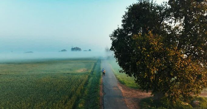 Aerial drone shot in rural Punjab: drone glides through a tree, two people jog on a long road between paddy fields, a cyclist rides by, all bathed in sunrise light with mist&mdash;sun not in frame.