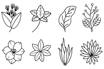 Botanical Hand Drawn Line Art Artistic leaf sketches